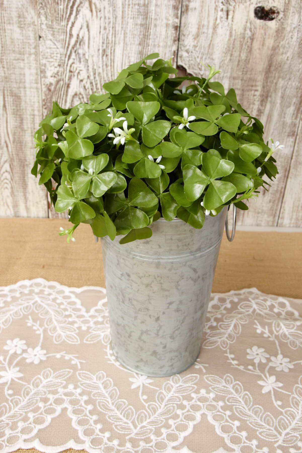 Clover Bush 9in