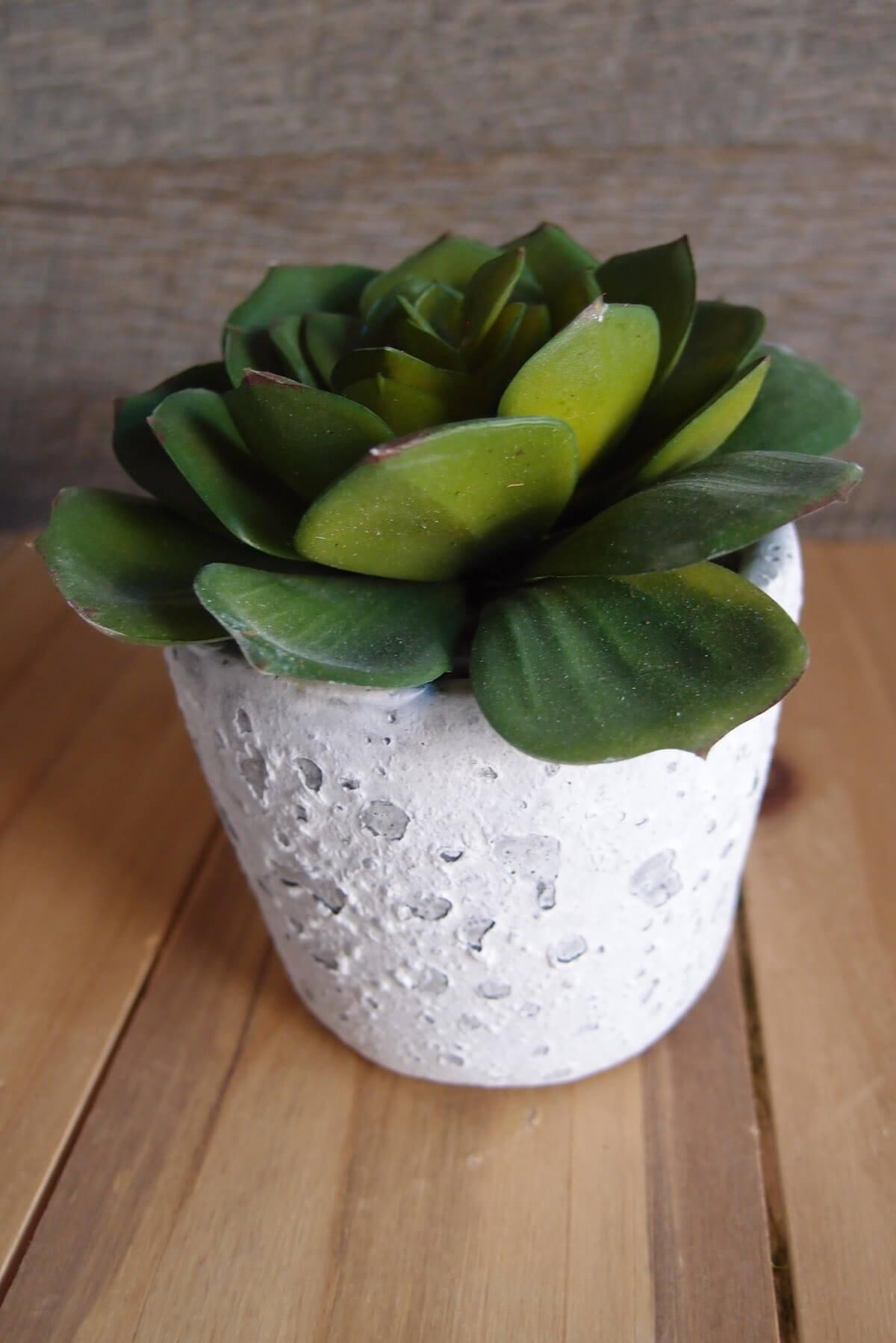Faux Echeveria in Pot 3" Green