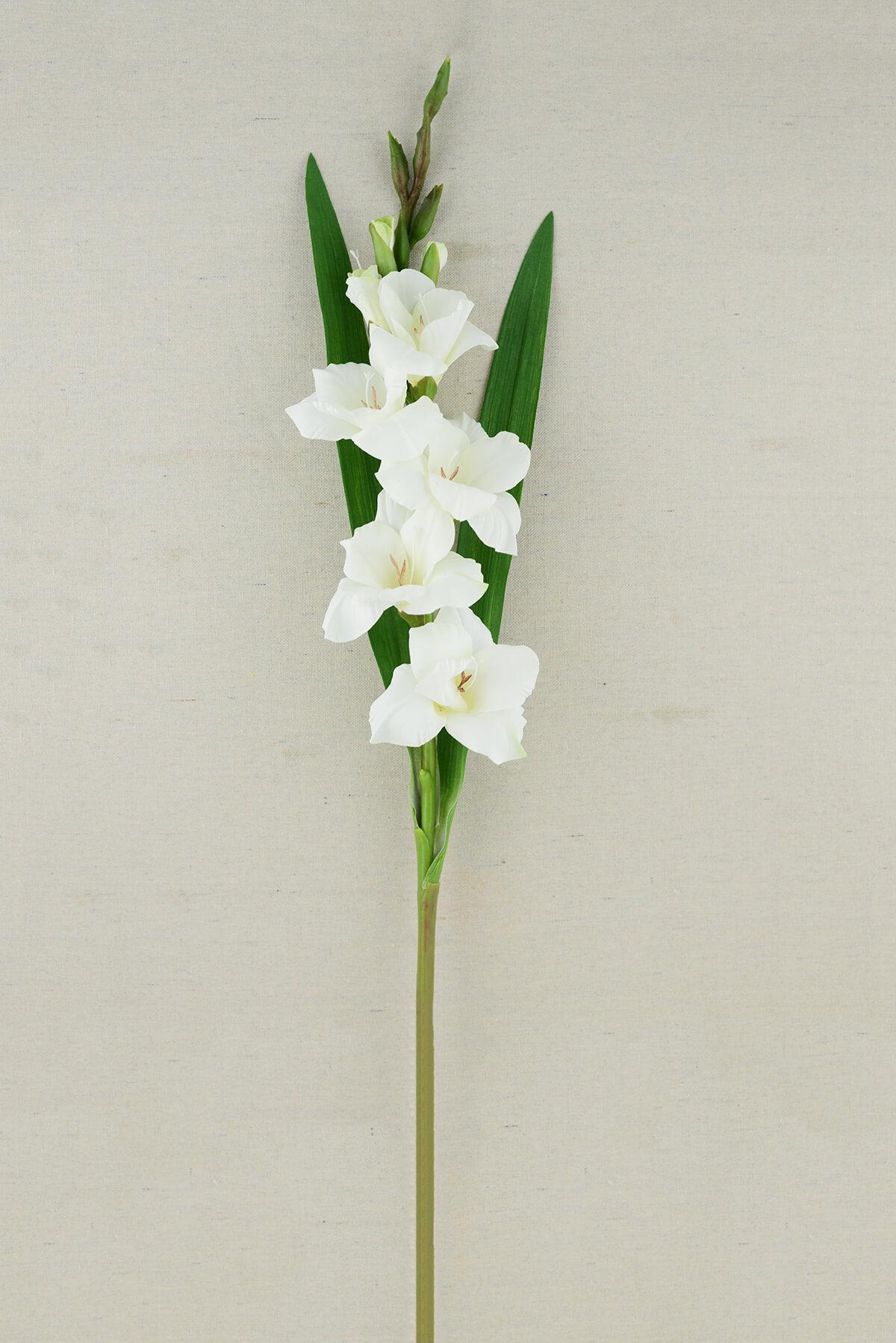 Gladiolus Flower Cream 33in