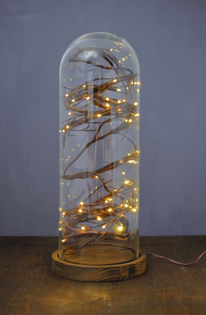16" Glass Cloche