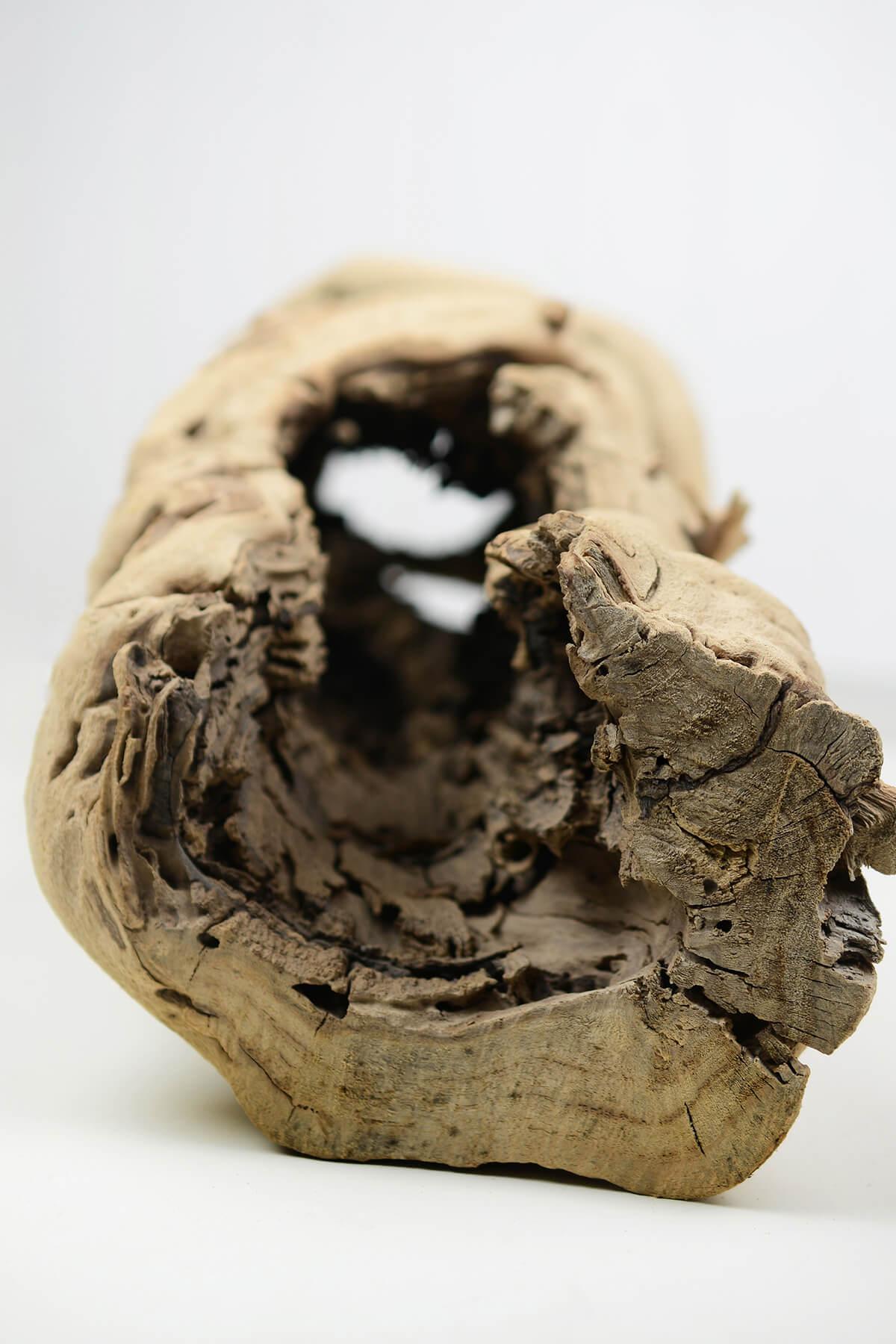hollow grapewood branch natural 12 14in