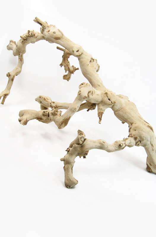 natural grapewood branches 18in sandblasted and sanitized