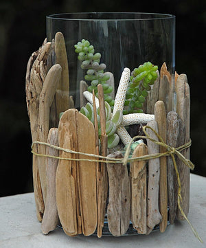 lake superior driftwood 2 6 100 pcs