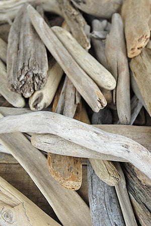 lake superior driftwood 6 12