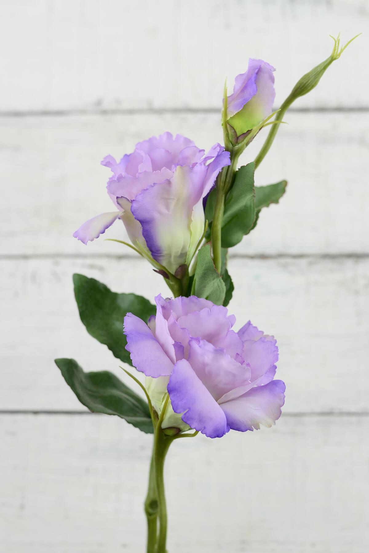 Lilac Lisianthus Flowers