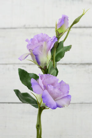 Lilac Lisianthus Flowers