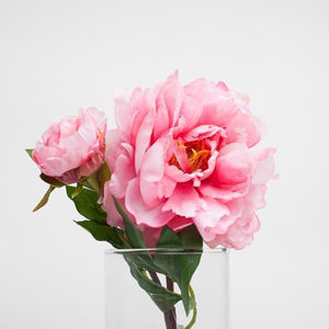 richland pink peony 22