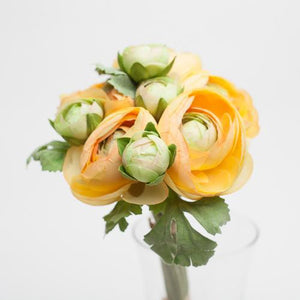 richland orange ranunculus 15