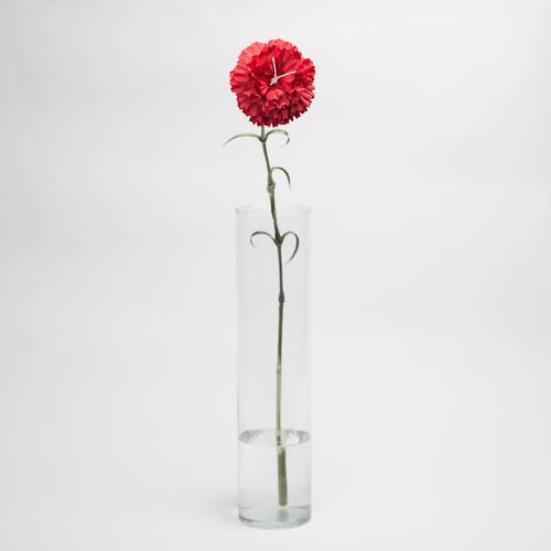 richland red carnation 27