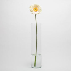 Richland Yellow Gerbera Daisy 24"
