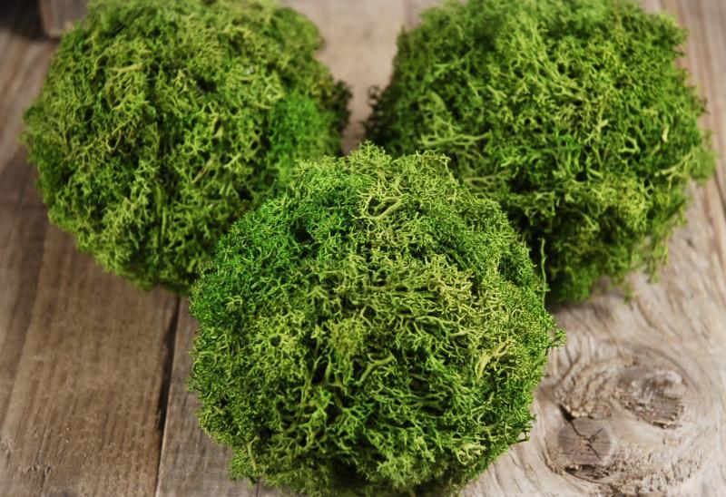 Green Reindeer Moss 4"  Balls (set of 3)
