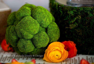 Bumpy Moss Balls  5in