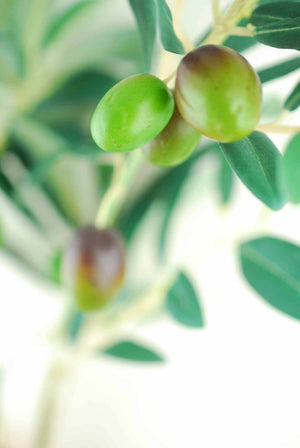 Olive Tree Branch Green 28in Artificial