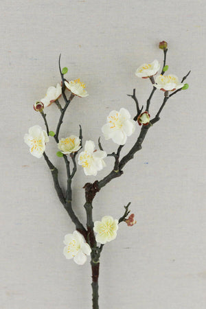 Plum Blossom Branches 18in