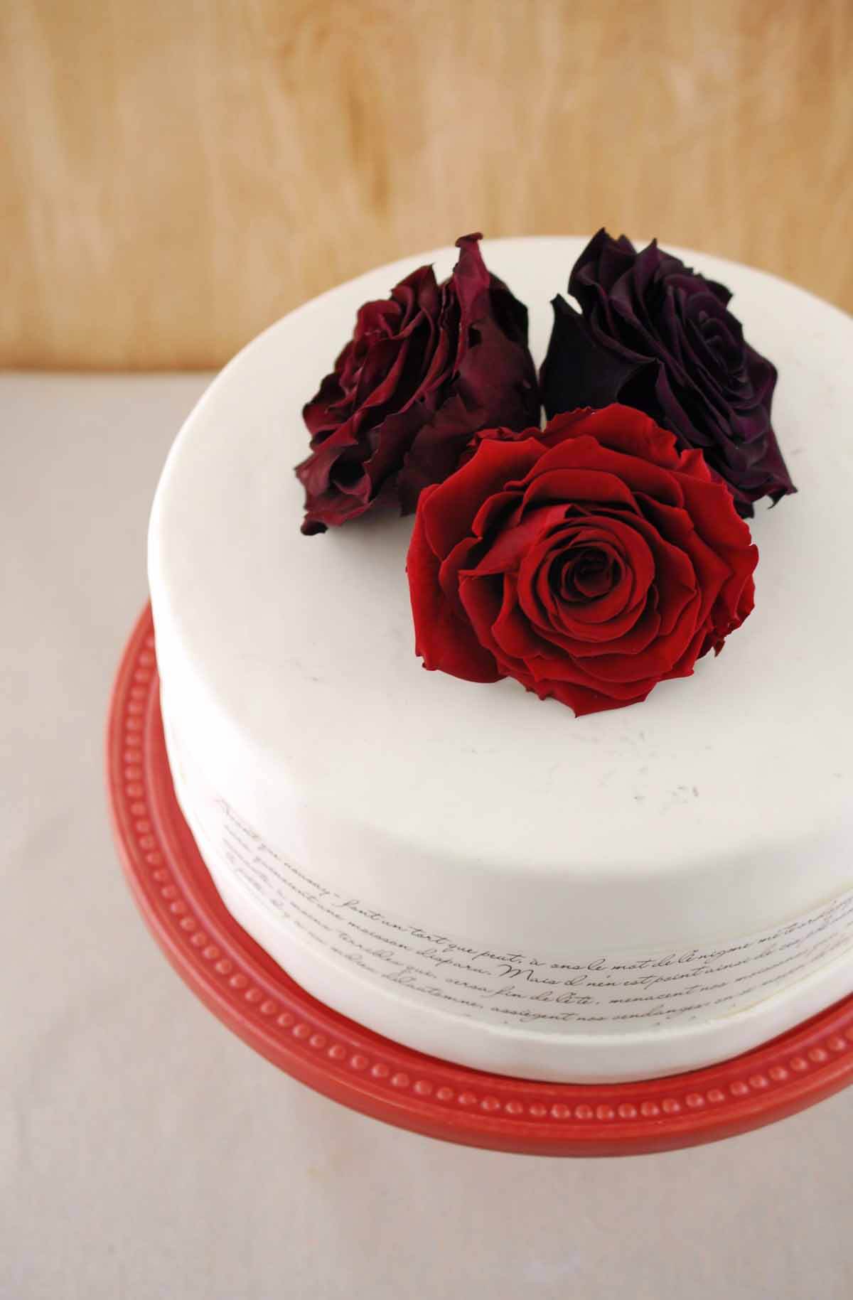 preserved roses 4 burgundy red