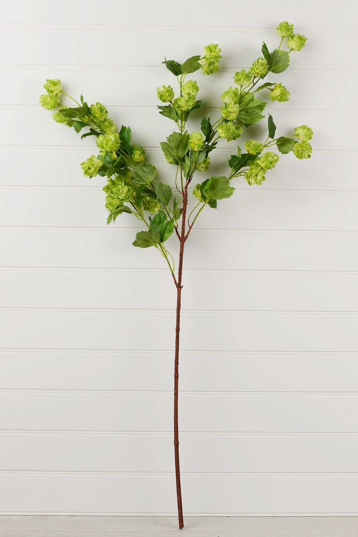 blooming hops spray 39