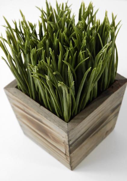 wood planter box grass display 7in